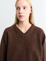 Dunst - Unisex Cashmere V-Neck Sweater in Brown