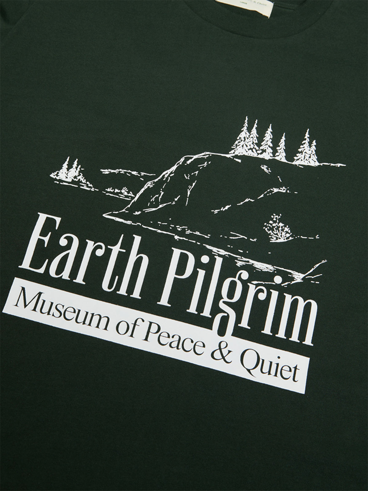 Earth Pilgrim T-Shirt i Grøn