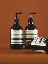 Aesop - Reverence Aromatique Hand Wash (500 ml)