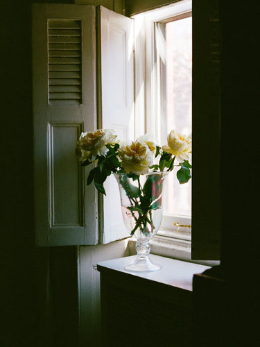 Sophie Bille Brahe - Cristal Escargot Vase