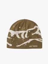 Arc'teryx - Grotto Toque in Bracken / Sea Salt
