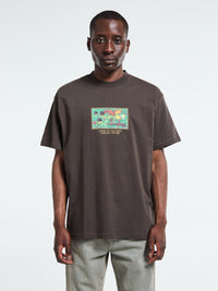 Carhartt WIP - Cream Of The Crop T-Shirt in Vitola