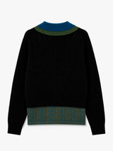 DRIES_0_1270457900621_2.jpg