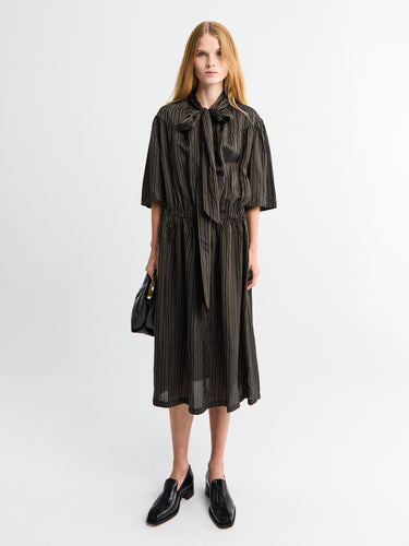 Dries Van Noten - Daffino Dress in Brown