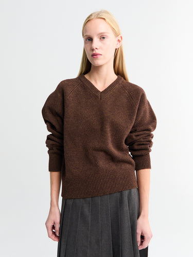 Dunst - Unisex Cashmere V-Neck Sweater in Brown