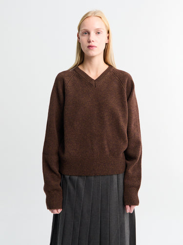 Dunst - Unisex Cashmere V-Neck Sweater in Brown
