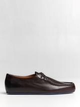 Jil Sander - Lace Up Shoes in Cacao