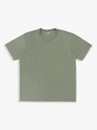 Lady White Co. - Our T-shirt in Dusty Sage