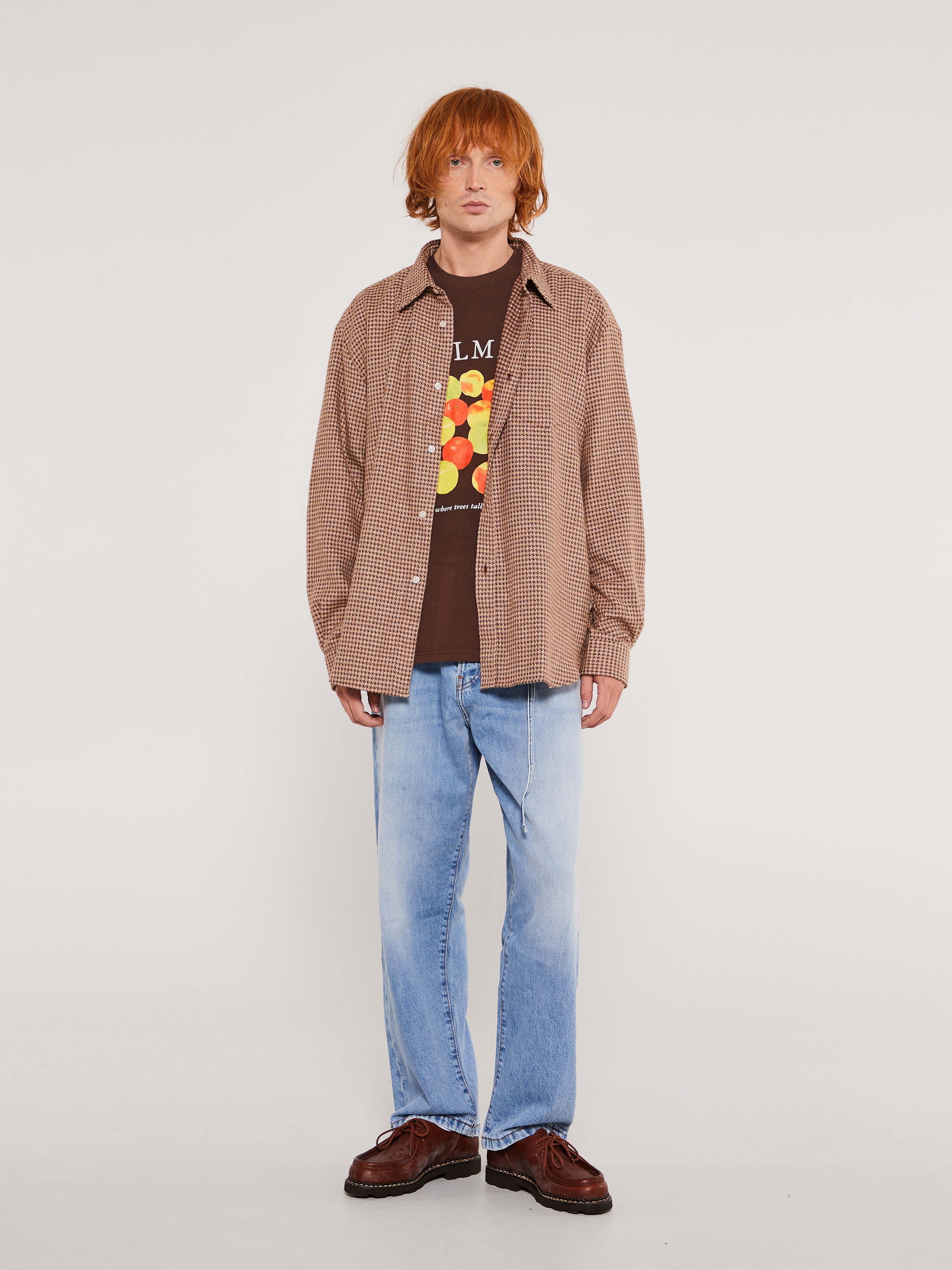 Apples T-Shirt in Brown