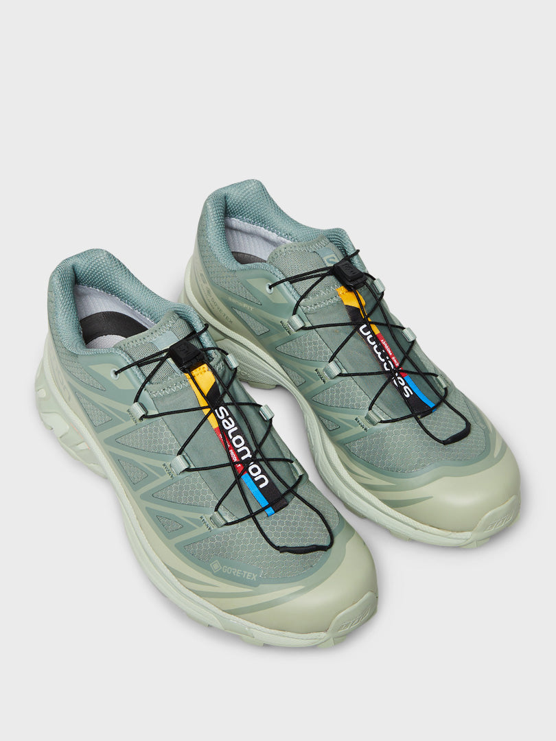 XT-6 GTX Sneakers in Desert Sage, Lily Pad and Laurel Wreath