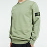 Stone Island - 6100060 Organic Cotton Fleece in Sage