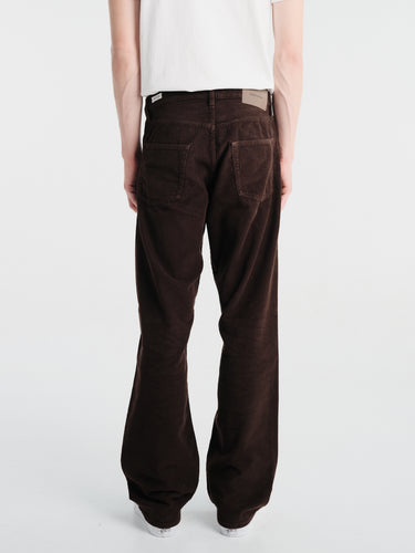 Sunflower - Loose in Brown