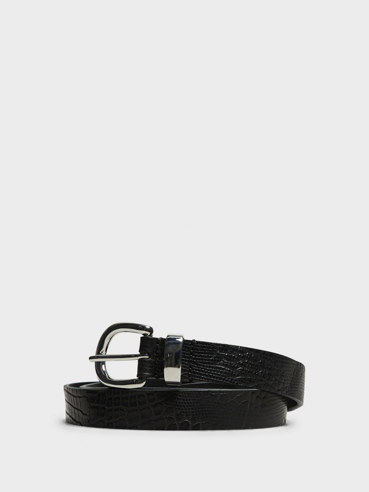 Sunflower - Croc Belt 2.5 in Black