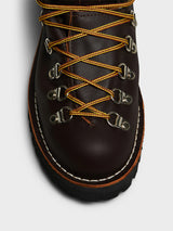 Danner - Women's Mountain Light Shoes in Brown