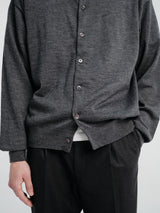 Horses - Cardigan in Smoke