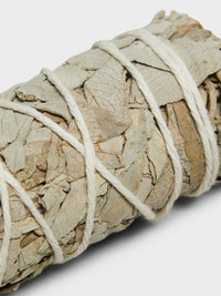 Neighborhood - White Sage