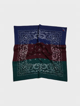Noah - Tri-Color Bandana