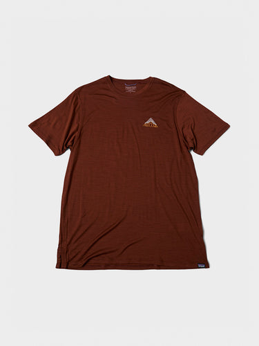 M's Cap Cool Merino Blend Graphic Shirt i DWVA